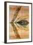 USA, Utah, Glen Canyon Nra. Abstract Reflection of Sandstone Wall-Jaynes Gallery-Framed Photographic Print