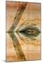 USA, Utah, Glen Canyon Nra. Abstract Reflection of Sandstone Wall-Jaynes Gallery-Mounted Photographic Print