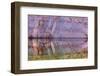 USA, Utah, Glen Canyon Nra. Abstract Reflection of Sandstone Wall-Jaynes Gallery-Framed Photographic Print