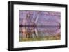 USA, Utah, Glen Canyon Nra. Abstract Reflection of Sandstone Wall-Jaynes Gallery-Framed Photographic Print