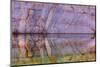 USA, Utah, Glen Canyon Nra. Abstract Reflection of Sandstone Wall-Jaynes Gallery-Mounted Photographic Print