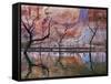 USA, Utah, Glen Canyon Nra. Drought Reveals Dead Trees-Jaynes Gallery-Framed Stretched Canvas