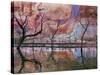 USA, Utah, Glen Canyon Nra. Drought Reveals Dead Trees-Jaynes Gallery-Stretched Canvas