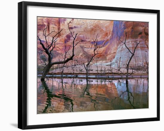 USA, Utah, Glen Canyon Nra. Drought Reveals Dead Trees-Jaynes Gallery-Framed Photographic Print