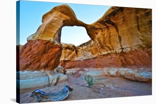 USA, Utah, Grand Staircase-Escalante, Devils Garden, Metate Arch-Bernard Friel-Stretched Canvas