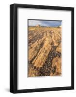 USA, Utah, Grand Staircase-Escalante National Monument. Moqui marbles.-Jaynes Gallery-Framed Photographic Print