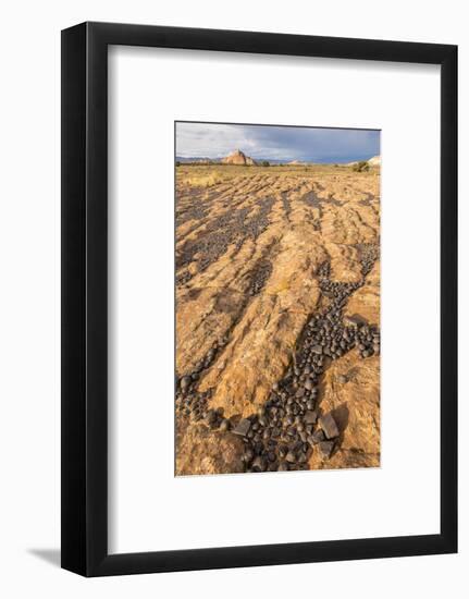 USA, Utah, Grand Staircase-Escalante National Monument. Moqui marbles.-Jaynes Gallery-Framed Photographic Print