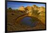 USA, Utah, Grand Staircase-Escalante National Monument, sandstone-Charles Gurche-Framed Photographic Print