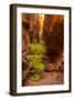 USA, Utah, Grand Staircase-Escalante National Monument. Slot canyon cliff and tree in autumn.-Jaynes Gallery-Framed Photographic Print