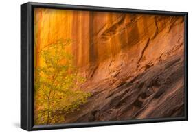 USA, Utah, Grand Staircase-Escalante National Monument. Slot canyon cliff and tree in autumn.-Jaynes Gallery-Framed Photographic Print