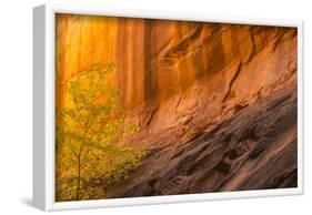 USA, Utah, Grand Staircase-Escalante National Monument. Slot canyon cliff and tree in autumn.-Jaynes Gallery-Framed Photographic Print