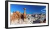 Usa, Utah, Grand Staircase Escalante National Monument, the Toadstools-Alan Copson-Framed Photographic Print