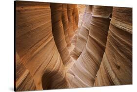 USA, Utah, Grand Staircase-Escalante National Monument-Charles Gurche-Stretched Canvas
