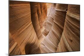 USA, Utah, Grand Staircase-Escalante National Monument-Charles Gurche-Mounted Photographic Print