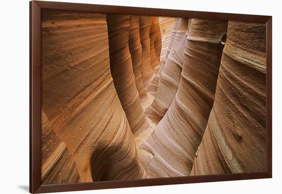 USA, Utah, Grand Staircase-Escalante National Monument-Charles Gurche-Framed Photographic Print