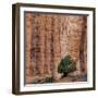 USA, Utah, Grand Staircase-Escalante National Monument-Charles Gurche-Framed Photographic Print