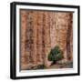 USA, Utah, Grand Staircase-Escalante National Monument-Charles Gurche-Framed Photographic Print