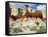 USA, Utah, Grand Staircase-Escalante Nm. Toadstool Hoodoos and Yucca-Petr Bednarik-Framed Stretched Canvas