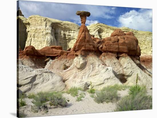 USA, Utah, Grand Staircase-Escalante Nm. Toadstool Hoodoos and Yucca-Petr Bednarik-Stretched Canvas