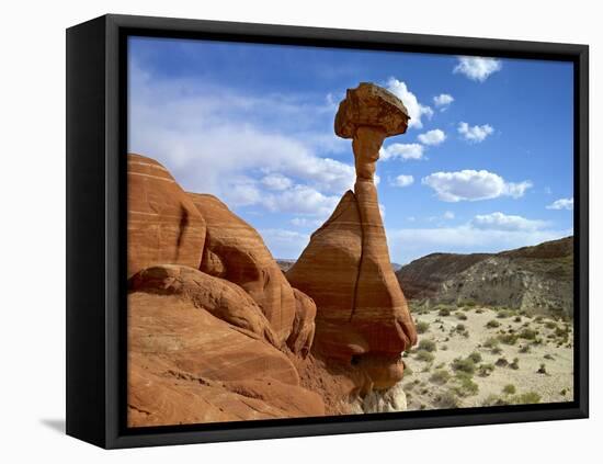USA, Utah, Grand Staircase-Escalante Nm. Toadstool Hoodoos Formation-Petr Bednarik-Framed Stretched Canvas