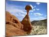 USA, Utah, Grand Staircase-Escalante Nm. Toadstool Hoodoos Formation-Petr Bednarik-Mounted Premium Photographic Print