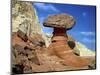 USA, Utah, Grand Staircase-Escalante Nm. Toadstool Hoodoos Formation-Petr Bednarik-Mounted Photographic Print