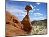 USA, Utah, Grand Staircase-Escalante Nm. Toadstool Hoodoos Formation-Petr Bednarik-Mounted Photographic Print