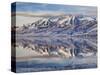 USA, Utah, Heber Valley, Winter Reflection of Mount Timpanogos in Deer Creek Reservoir at Sunrise-Ann Collins-Stretched Canvas