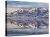 USA, Utah, Heber Valley, Winter Reflection of Mount Timpanogos in Deer Creek Reservoir at Sunrise-Ann Collins-Stretched Canvas