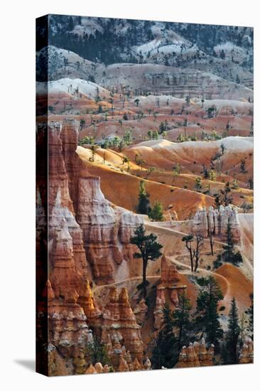 USA, Utah. Hoodoo Formations in Bryce Canyon National Park-Jaynes Gallery-Stretched Canvas