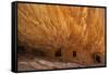 USA, Utah. House on Fire Ruin, Cedar Mesa, Bears Ears National Monument-Judith Zimmerman-Framed Stretched Canvas