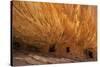 USA, Utah. House on Fire Ruin, Cedar Mesa, Bears Ears National Monument-Judith Zimmerman-Stretched Canvas