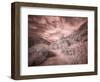 USA, Utah, Infrared of backroad in the Logan Pass area-Terry Eggers-Framed Photographic Print