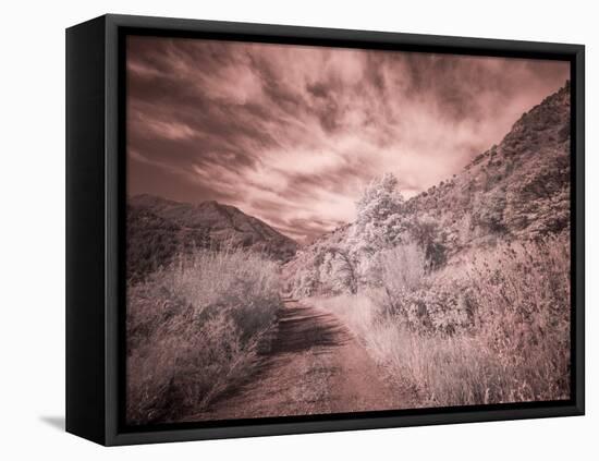 USA, Utah, Infrared of backroad in the Logan Pass area-Terry Eggers-Framed Stretched Canvas