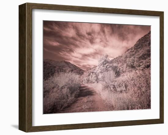 USA, Utah, Infrared of backroad in the Logan Pass area-Terry Eggers-Framed Photographic Print