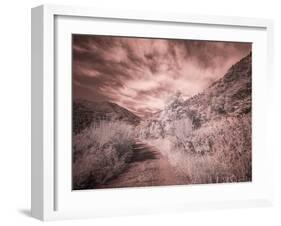 USA, Utah, Infrared of backroad in the Logan Pass area-Terry Eggers-Framed Photographic Print