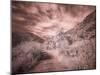 USA, Utah, Infrared of backroad in the Logan Pass area-Terry Eggers-Mounted Photographic Print