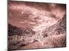 USA, Utah, Infrared of backroad in the Logan Pass area-Terry Eggers-Mounted Photographic Print
