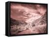 USA, Utah, Infrared of backroad in the Logan Pass area-Terry Eggers-Framed Stretched Canvas