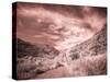 USA, Utah, Infrared of backroad in the Logan Pass area-Terry Eggers-Stretched Canvas