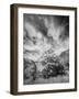 USA, Utah, Infrared of the Logan Pass area and lone tree-Terry Eggers-Framed Photographic Print