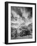 USA, Utah, Infrared of the Logan Pass area and lone tree-Terry Eggers-Framed Photographic Print