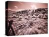 USA, Utah, Infrared of the Logan Pass area with long rail fence-Terry Eggers-Stretched Canvas