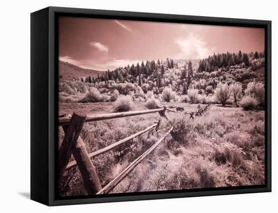 USA, Utah, Infrared of the Logan Pass area with long rail fence-Terry Eggers-Framed Stretched Canvas
