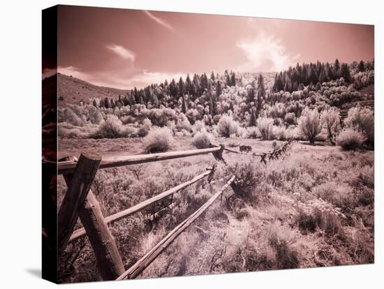 USA, Utah, Infrared of the Logan Pass area with long rail fence-Terry Eggers-Stretched Canvas