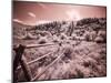 USA, Utah, Infrared of the Logan Pass area with long rail fence-Terry Eggers-Mounted Photographic Print