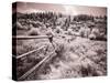 USA, Utah, Infrared of the Logan Pass area with long rail fence-Terry Eggers-Stretched Canvas