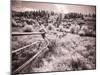 USA, Utah, Infrared of the Logan Pass area with long rail fence-Terry Eggers-Mounted Photographic Print