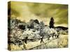 USA, Utah, Infrared of the Logan Pass area with split rai fence-Terry Eggers-Stretched Canvas