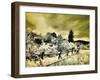 USA, Utah, Infrared of the Logan Pass area with split rai fence-Terry Eggers-Framed Photographic Print